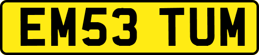 EM53TUM