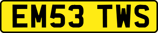 EM53TWS