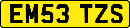 EM53TZS