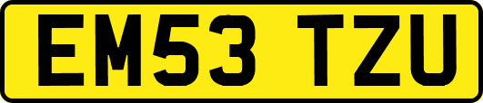 EM53TZU