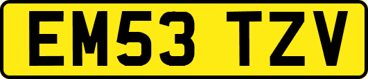 EM53TZV