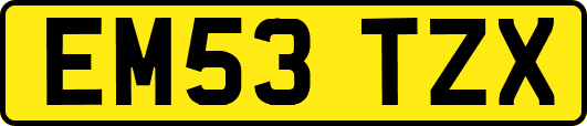 EM53TZX