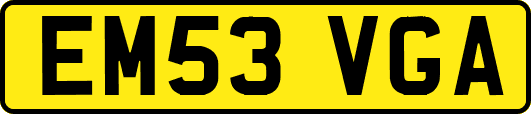 EM53VGA