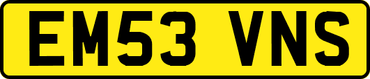 EM53VNS