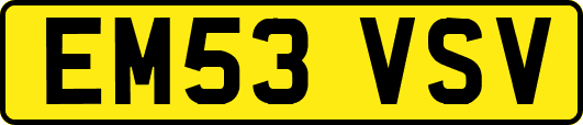 EM53VSV