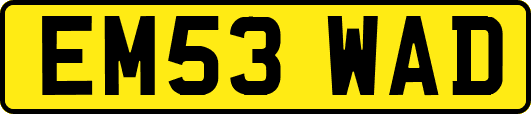 EM53WAD