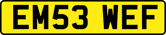 EM53WEF