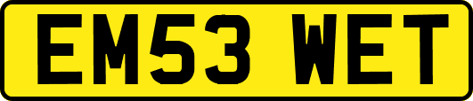 EM53WET
