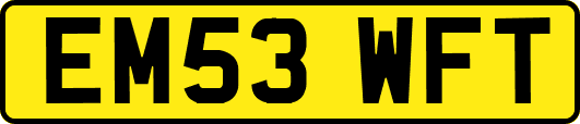 EM53WFT