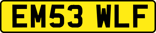 EM53WLF