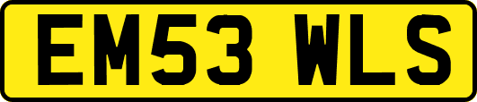 EM53WLS