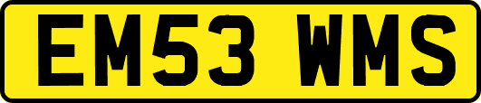 EM53WMS