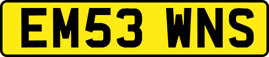 EM53WNS