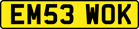 EM53WOK