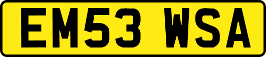 EM53WSA