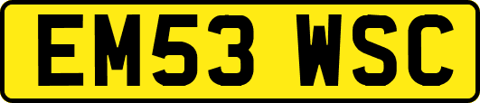 EM53WSC