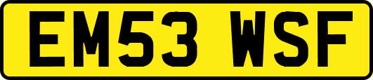 EM53WSF