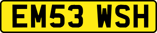 EM53WSH