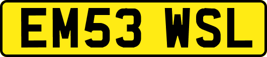 EM53WSL
