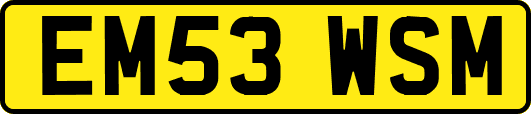 EM53WSM