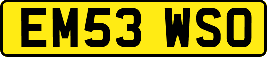 EM53WSO