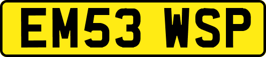EM53WSP