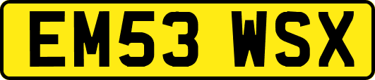 EM53WSX