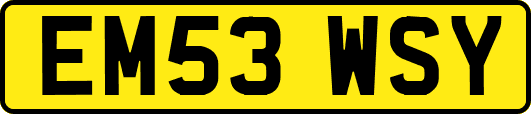 EM53WSY