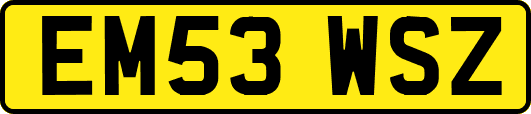 EM53WSZ