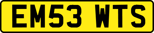 EM53WTS