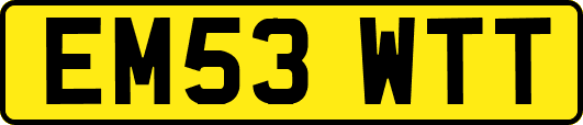 EM53WTT