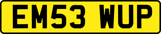 EM53WUP
