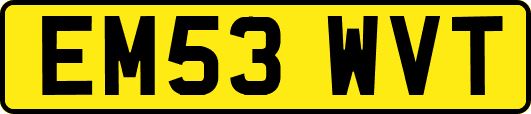 EM53WVT