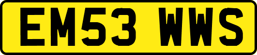 EM53WWS