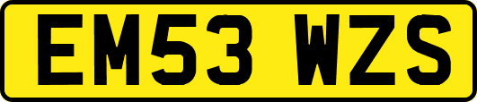 EM53WZS