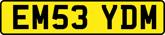 EM53YDM