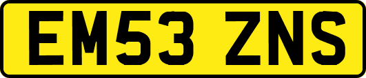 EM53ZNS