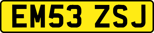 EM53ZSJ