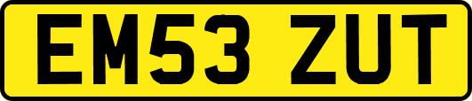 EM53ZUT