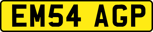 EM54AGP