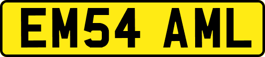 EM54AML