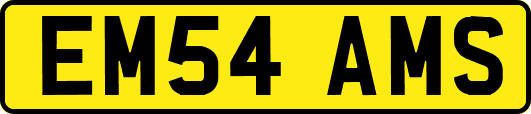 EM54AMS