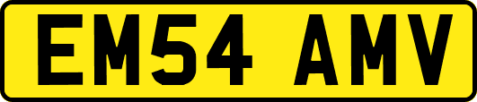 EM54AMV