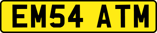 EM54ATM
