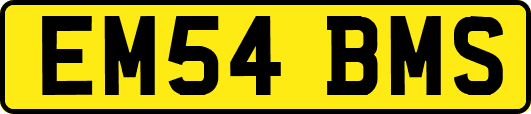 EM54BMS