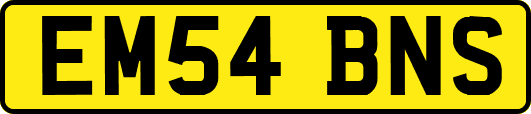 EM54BNS