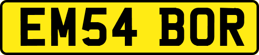 EM54BOR