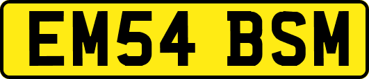 EM54BSM