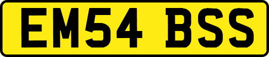EM54BSS