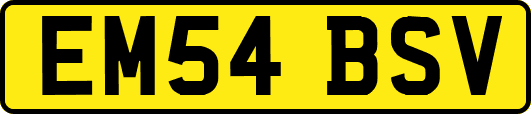 EM54BSV